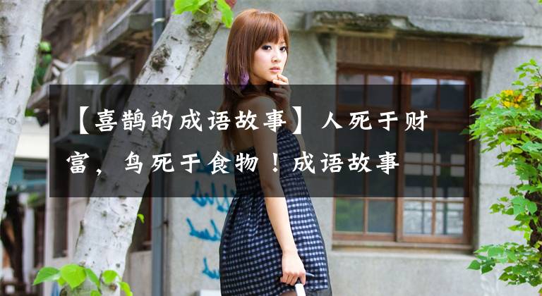 【喜鹊的成语故事】人死于财富，鸟死于食物！成语故事
