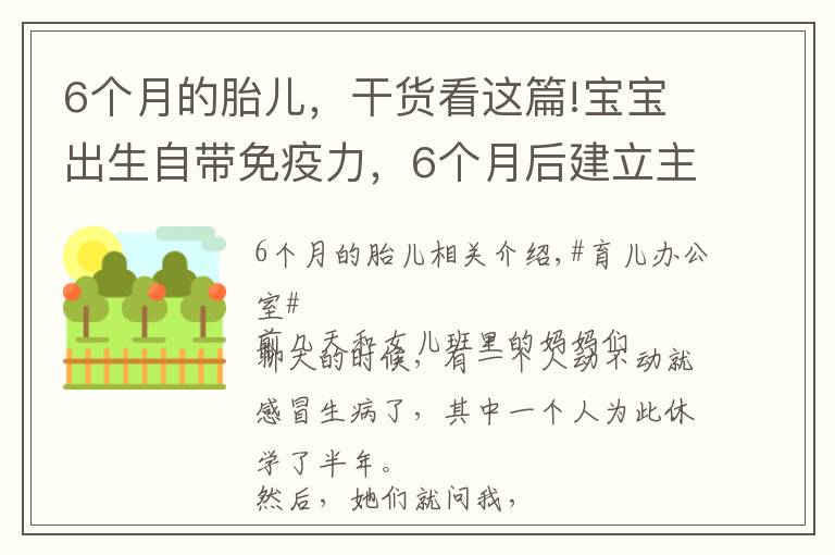 6个月的胎儿，干货看这篇!宝宝出生自带免疫力，6个月后建立主动式免疫，几种营养素不可缺