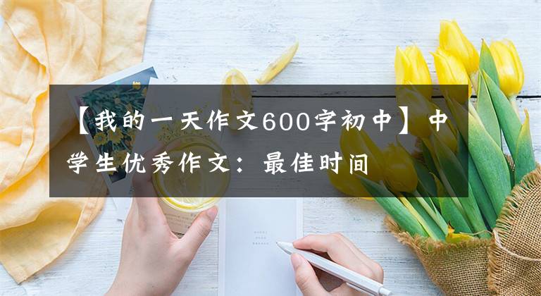 【我的一天作文600字初中】中学生优秀作文：最佳时间