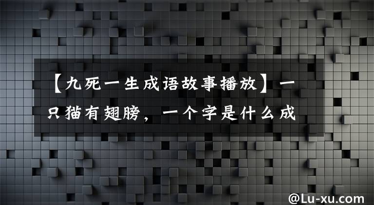 【九死一生成语故事播放】一只猫有翅膀，一个字是什么成语，九死生活了下来。