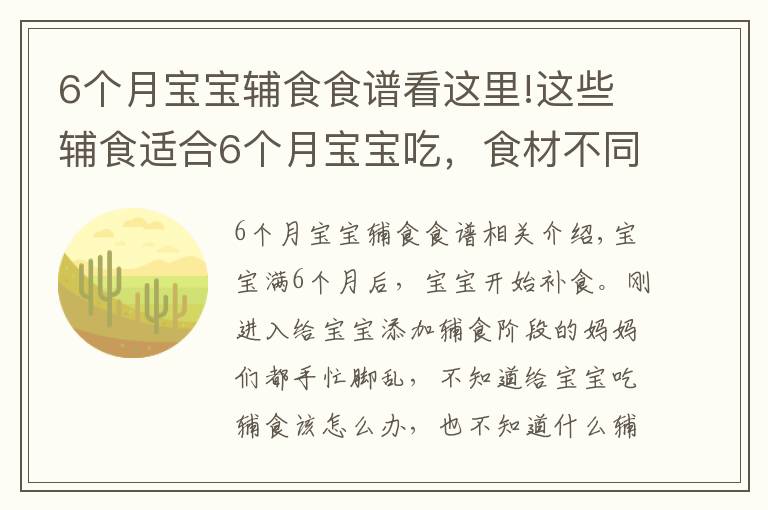 6个月宝宝辅食食谱看这里!这些辅食适合6个月宝宝吃，食材不同营养不同，每天还不重样！