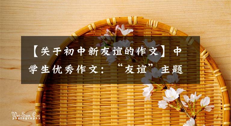 【关于初中新友谊的作文】中学生优秀作文：“友谊”主题作文