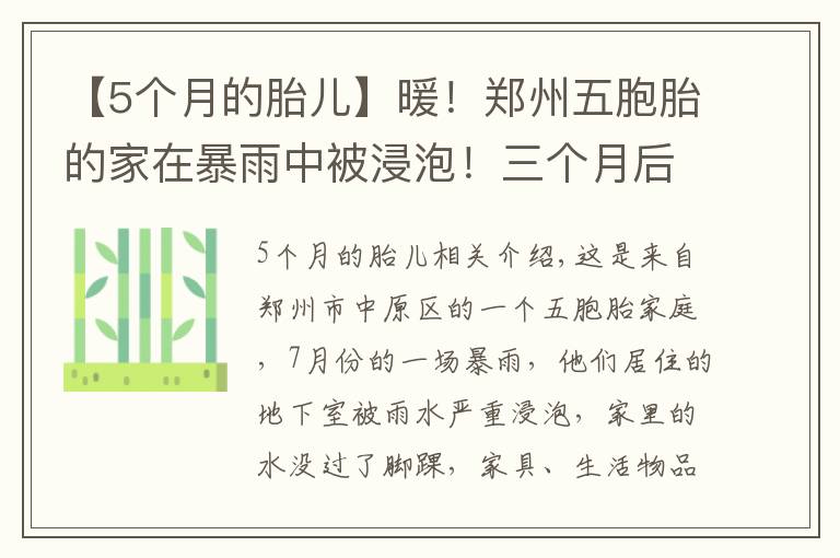 【5个月的胎儿】暖！郑州五胞胎的家在暴雨中被浸泡！三个月后，大变样了……