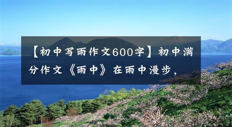 【初中写雨作文600字】初中满分作文《雨中》在雨中漫步，很开心