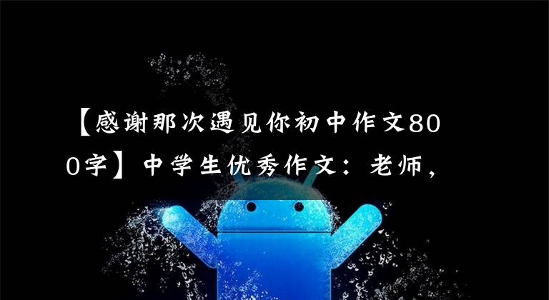 【感谢那次遇见你初中作文800字】中学生优秀作文：老师，谢谢您的接见。