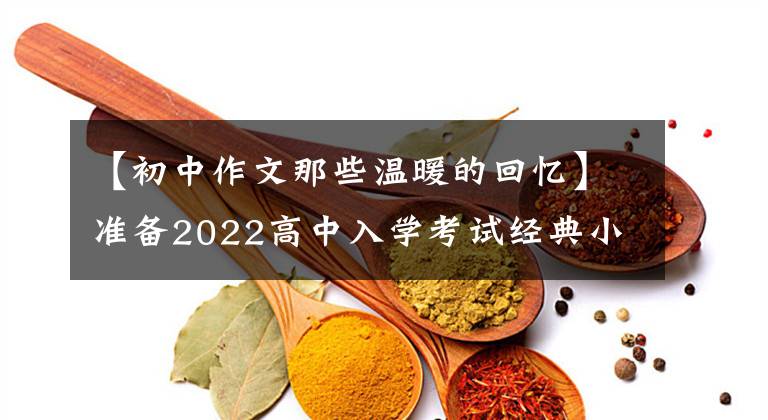 【初中作文那些温暖的回忆】准备2022高中入学考试经典小题目范文《温暖的记忆》