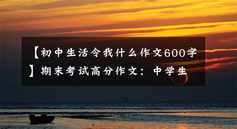 【初中生活令我什么作文600字】期末考试高分作文：中学生活的酸甜苦辣