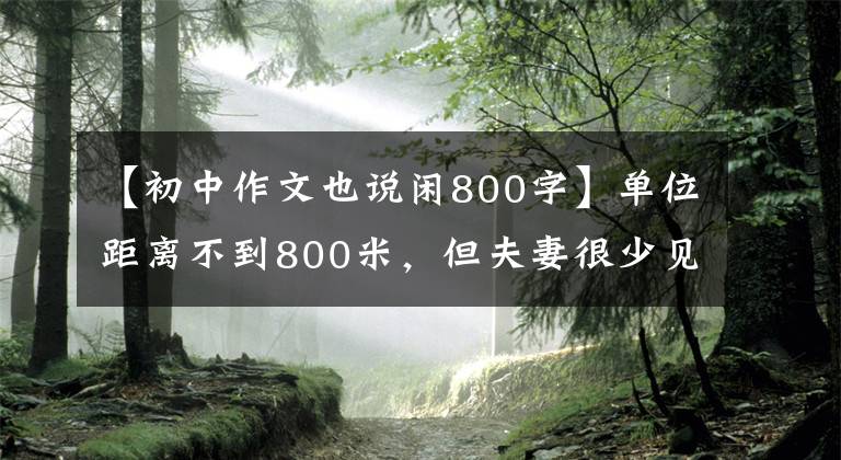 【初中作文也说闲800字】单位距离不到800米，但夫妻很少见面