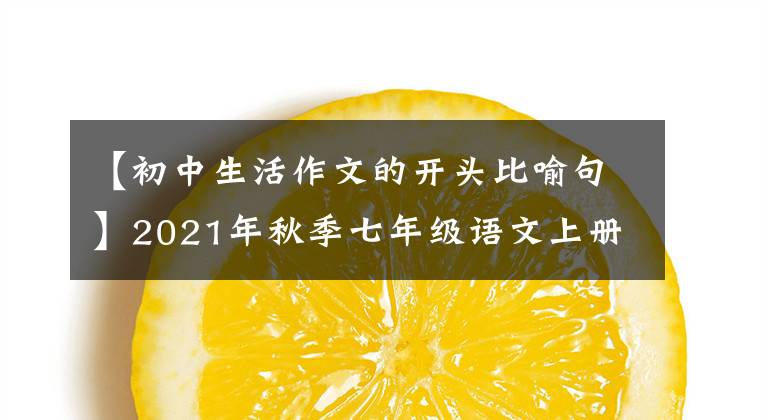 【初中生活作文的开头比喻句】2021年秋季七年级语文上册单位同时作文暑假先发制人-6文章配图