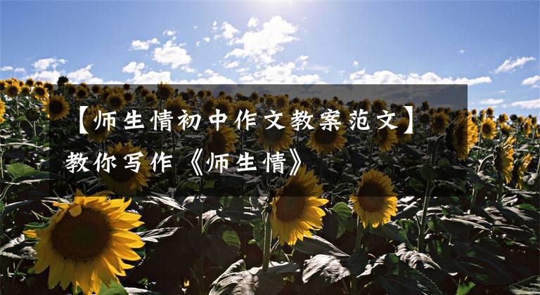 【师生情初中作文教案范文】教你写作《师生情》文章配图
