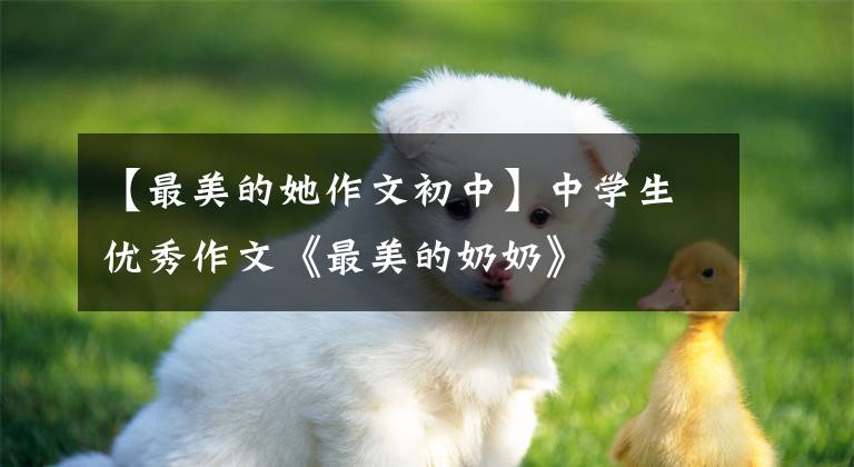 【最美的她作文初中】中学生优秀作文《最美的奶奶》