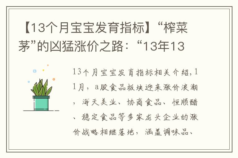 【13个月宝宝发育指标】“榨菜茅”的凶猛涨价之路：“13年13涨”，成长天花板或至？