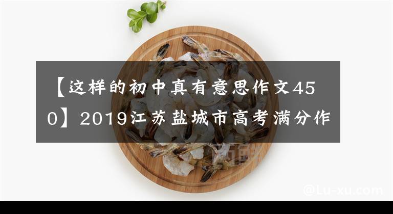 【这样的初中真有意思作文450】2019江苏盐城市高考满分作文《真的有意思》