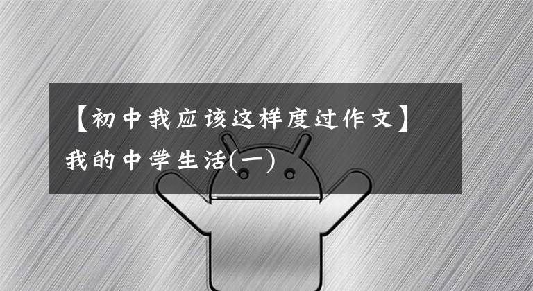 【初中我应该这样度过作文】我的中学生活(一)