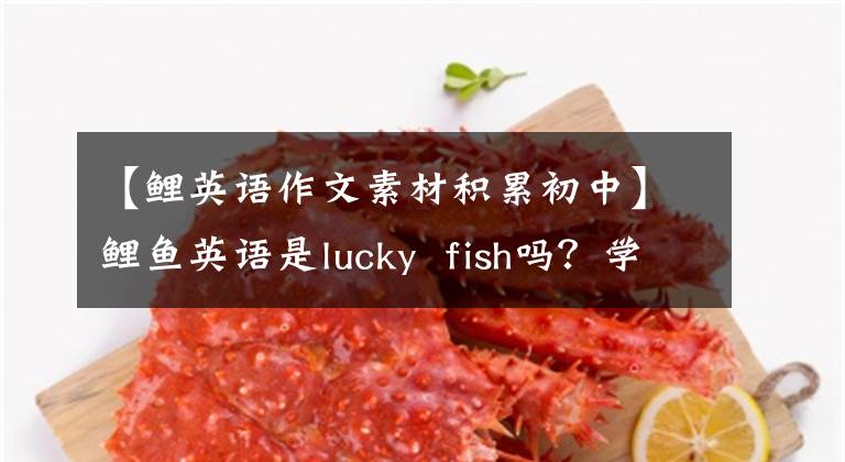 【鲤英语作文素材积累初中】鲤鱼英语是lucky  fish吗？学这些单词很幸运up！