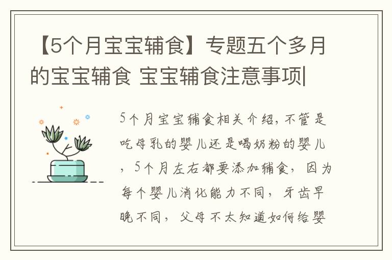 【5个月宝宝辅食】专题五个多月的宝宝辅食 宝宝辅食注意事项|育儿大师