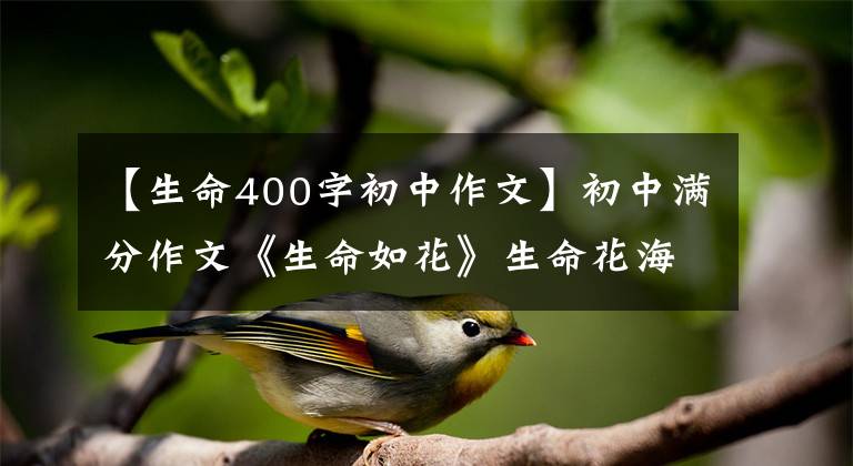 【生命400字初中作文】初中满分作文《生命如花》生命花海，更精彩的战斗文章配图