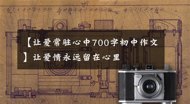 【让爱常驻心中700字初中作文】让爱情永远留在心里