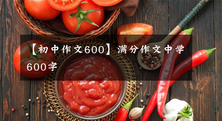 【初中作文600】满分作文中学600字文章配图