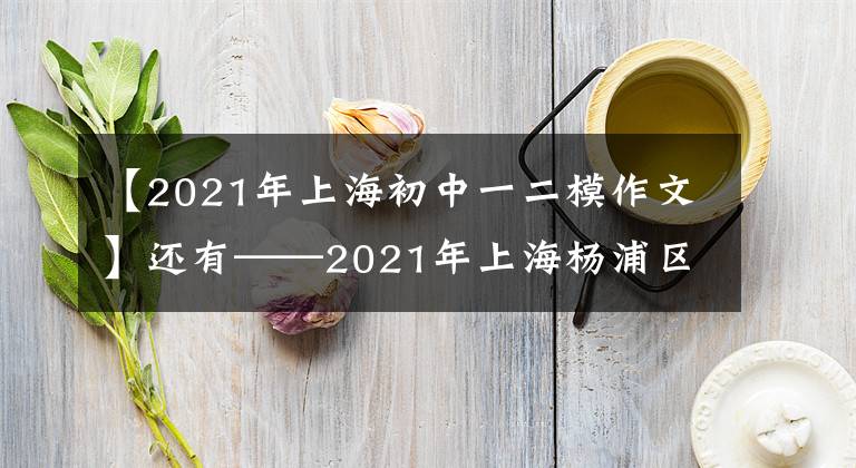 【2021年上海初中一二模作文】还有——2021年上海杨浦区一毛作文考试