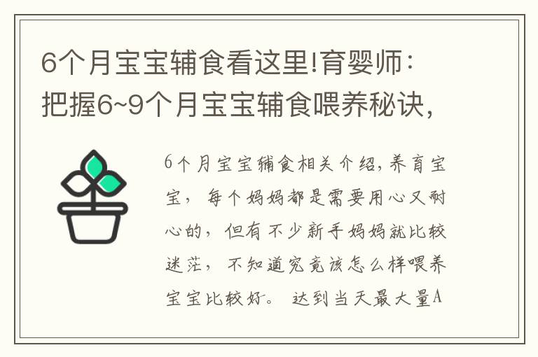 6个月宝宝辅食看这里!育婴师：把握6~9个月宝宝辅食喂养秘诀，宝宝牙齿好，说话早