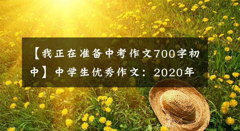 【我正在准备中考作文700字初中】中学生优秀作文：2020年，我的高中入学考试。