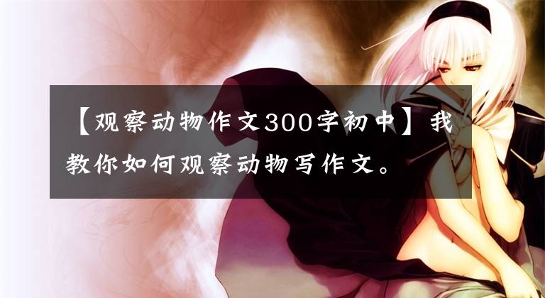 【观察动物作文300字初中】我教你如何观察动物写作文。