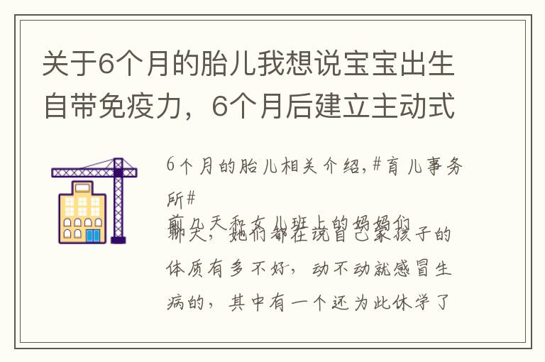 关于6个月的胎儿我想说宝宝出生自带免疫力，6个月后建立主动式免疫，几种营养素不可缺