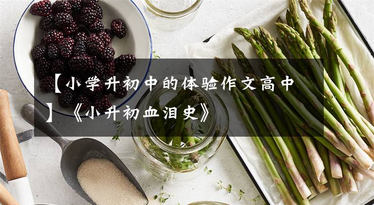 【小学升初中的体验作文高中】《小升初血泪史》