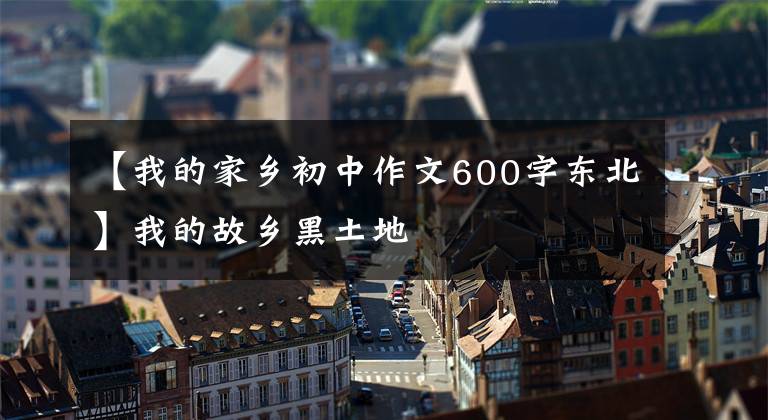 【我的家乡初中作文600字东北】我的故乡黑土地