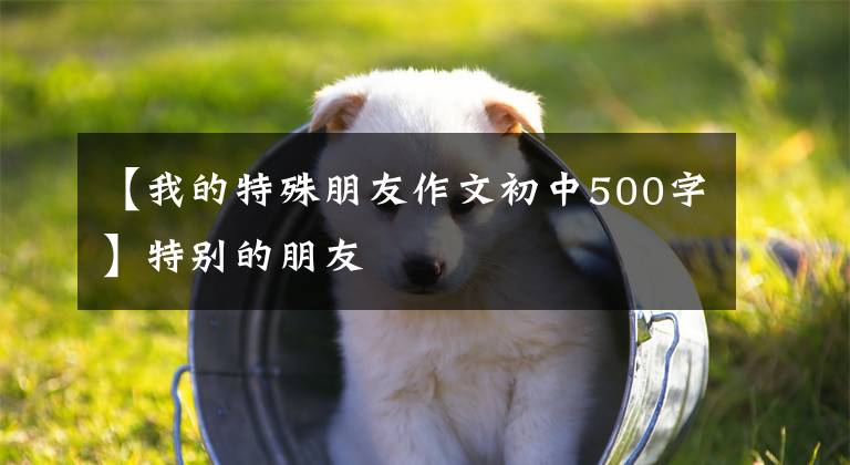 【我的特殊朋友作文初中500字】特别的朋友