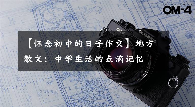 【怀念初中的日子作文】地方散文：中学生活的点滴记忆文章配图