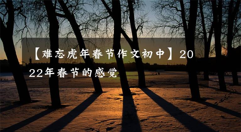 【难忘虎年春节作文初中】2022年春节的感觉