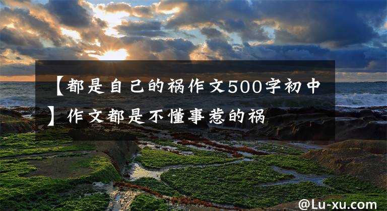 【都是自己的祸作文500字初中】作文都是不懂事惹的祸