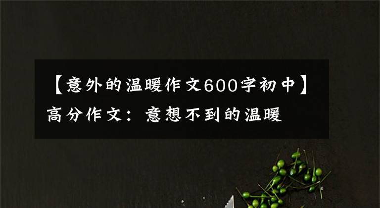 【意外的温暖作文600字初中】高分作文：意想不到的温暖