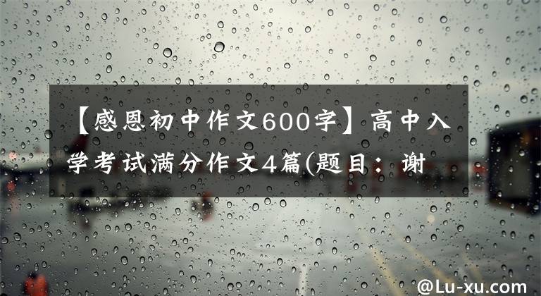 【感恩初中作文600字】高中入学考试满分作文4篇(题目：谢谢)