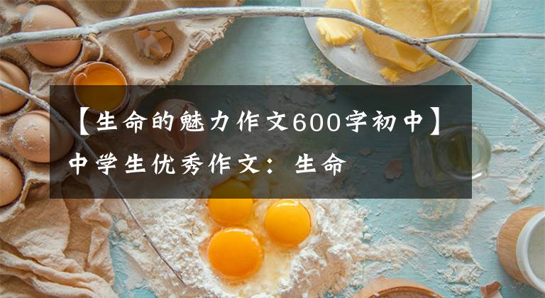 【生命的魅力作文600字初中】中学生优秀作文：生命