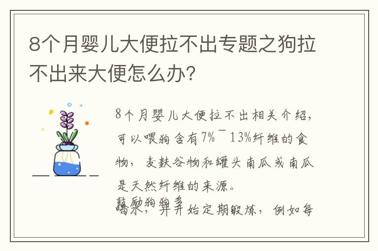 8个月婴儿大便拉不出专题之狗拉不出来大便怎么办？