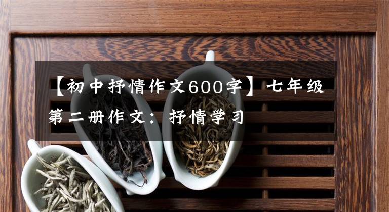 【初中抒情作文600字】七年级第二册作文：抒情学习