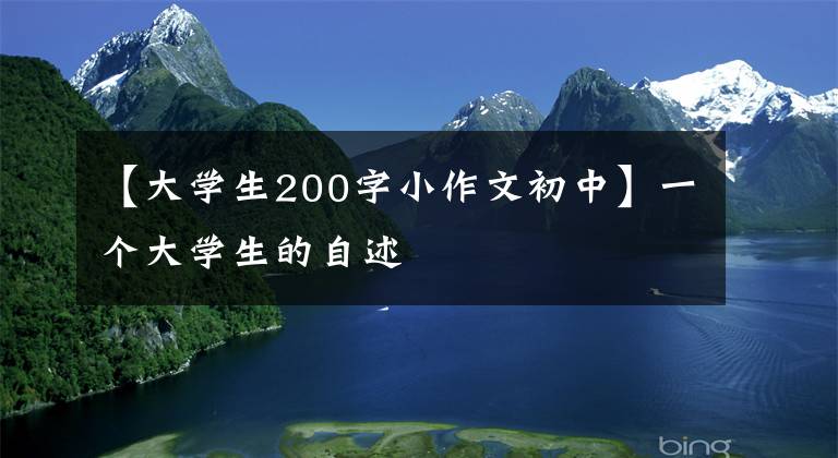 【大学生200字小作文初中】一个大学生的自述