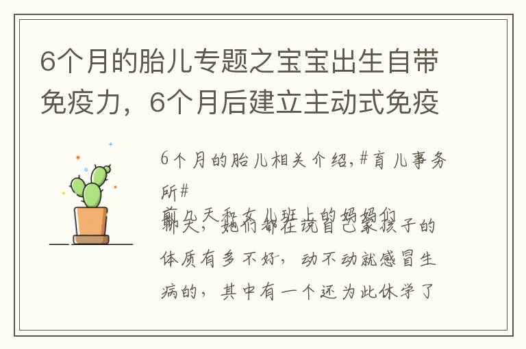 6个月的胎儿专题之宝宝出生自带免疫力，6个月后建立主动式免疫，几种营养素不可缺