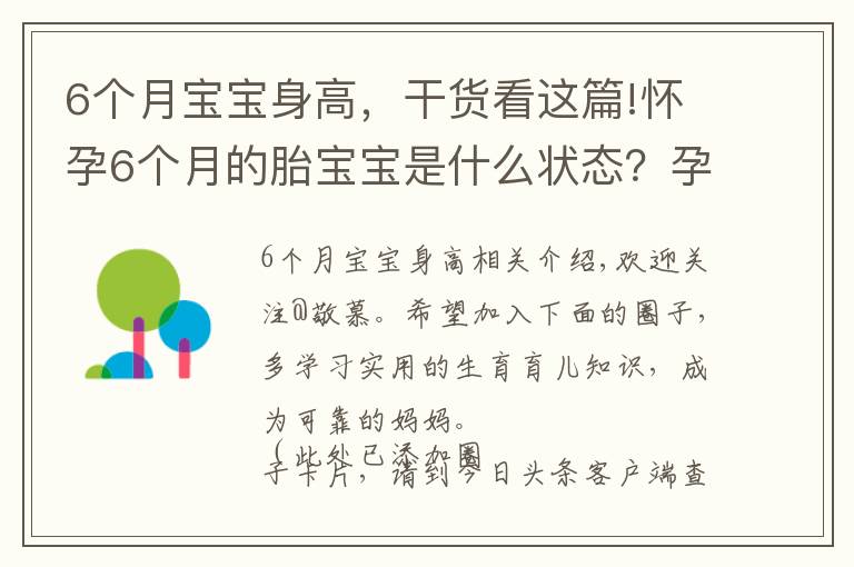 6个月宝宝身高，干货看这篇!怀孕6个月的胎宝宝是什么状态？孕妈有这些变化，正确应对是关键