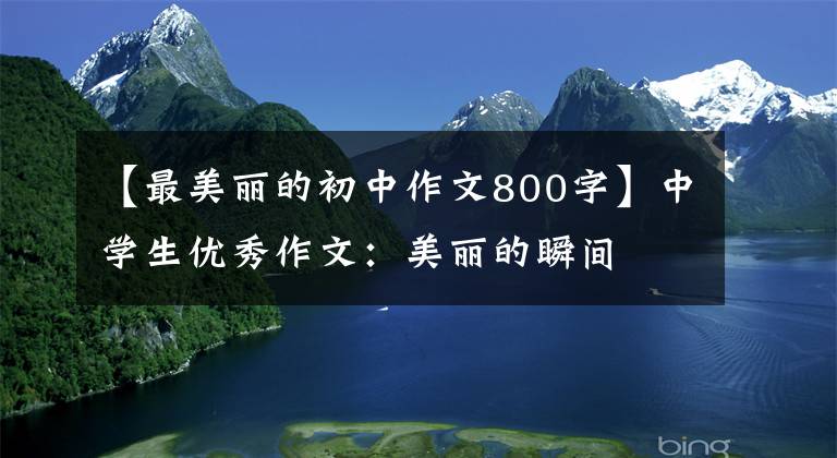 【最美丽的初中作文800字】中学生优秀作文：美丽的瞬间