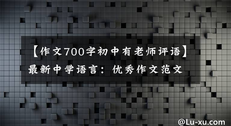 【作文700字初中有老师评语】最新中学语言：优秀作文范文精选20篇！包括评论，给孩子上一课