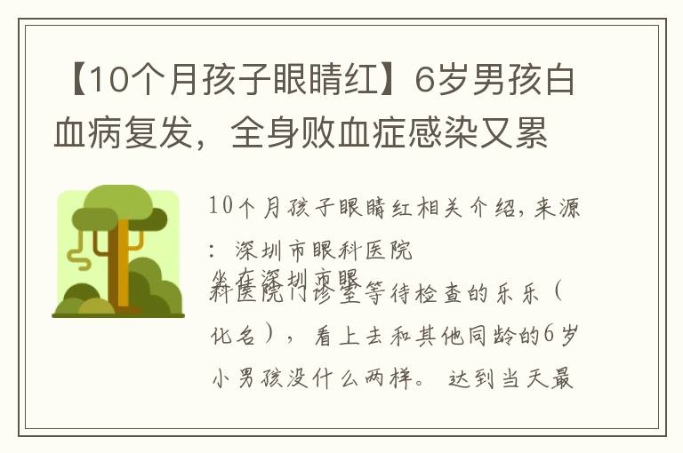 【10个月孩子眼睛红】6岁男孩白血病复发，全身败血症感染又累及眼睛，眼球险些摘除