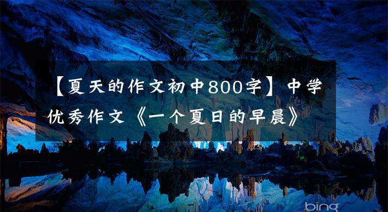 【夏天的作文初中800字】中学优秀作文《一个夏日的早晨》