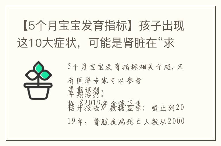 【5个月宝宝发育指标】孩子出现这10大症状，可能是肾脏在“求救”