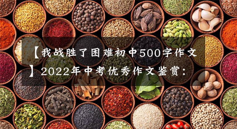 【我战胜了困难初中500字作文】2022年中考优秀作文鉴赏：我就是这么喜欢学习的。