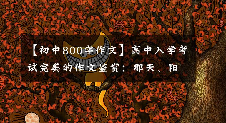 【初中800字作文】高中入学考试完美的作文鉴赏：那天，阳光真的很好