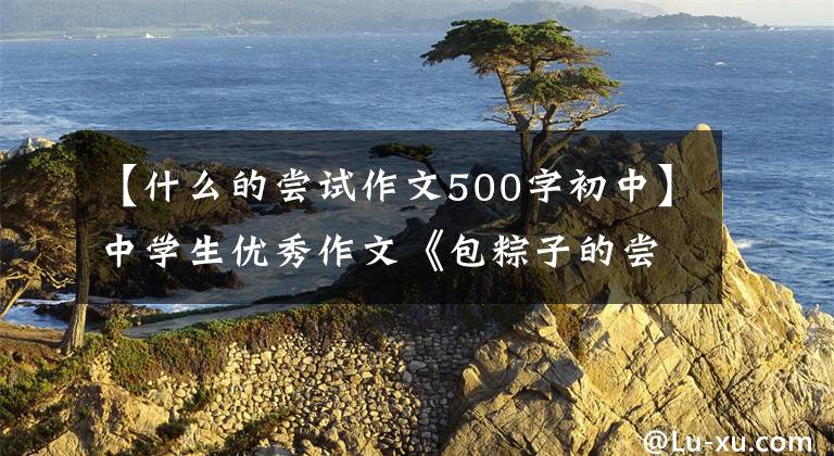 【什么的尝试作文500字初中】中学生优秀作文《包粽子的尝试》